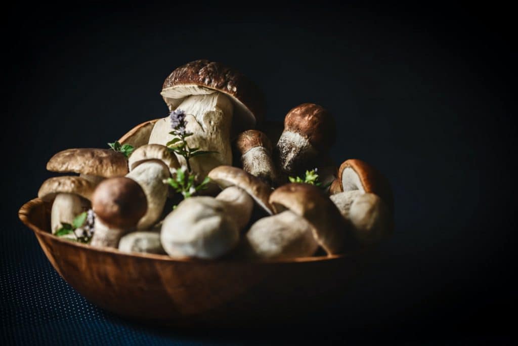 Mushrooms in a wooden bowl