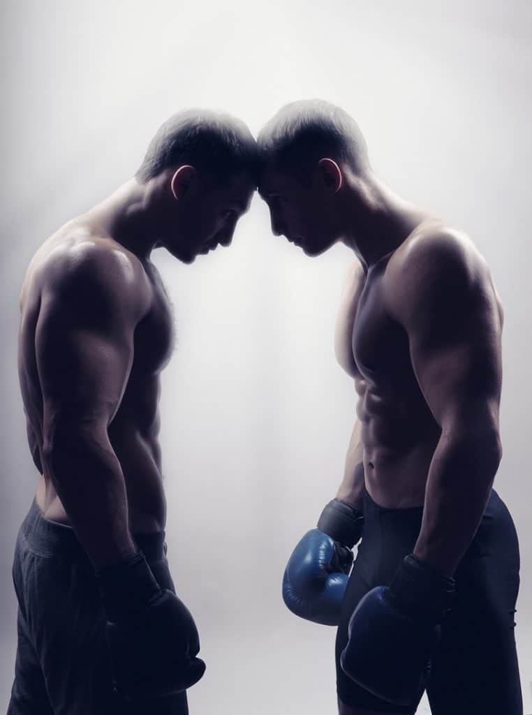 Two boxers standing literally head to head